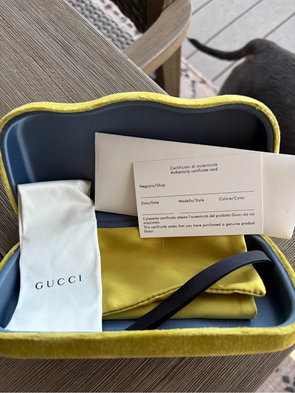 Gucci sunglasses NEW never worn (kept in case)